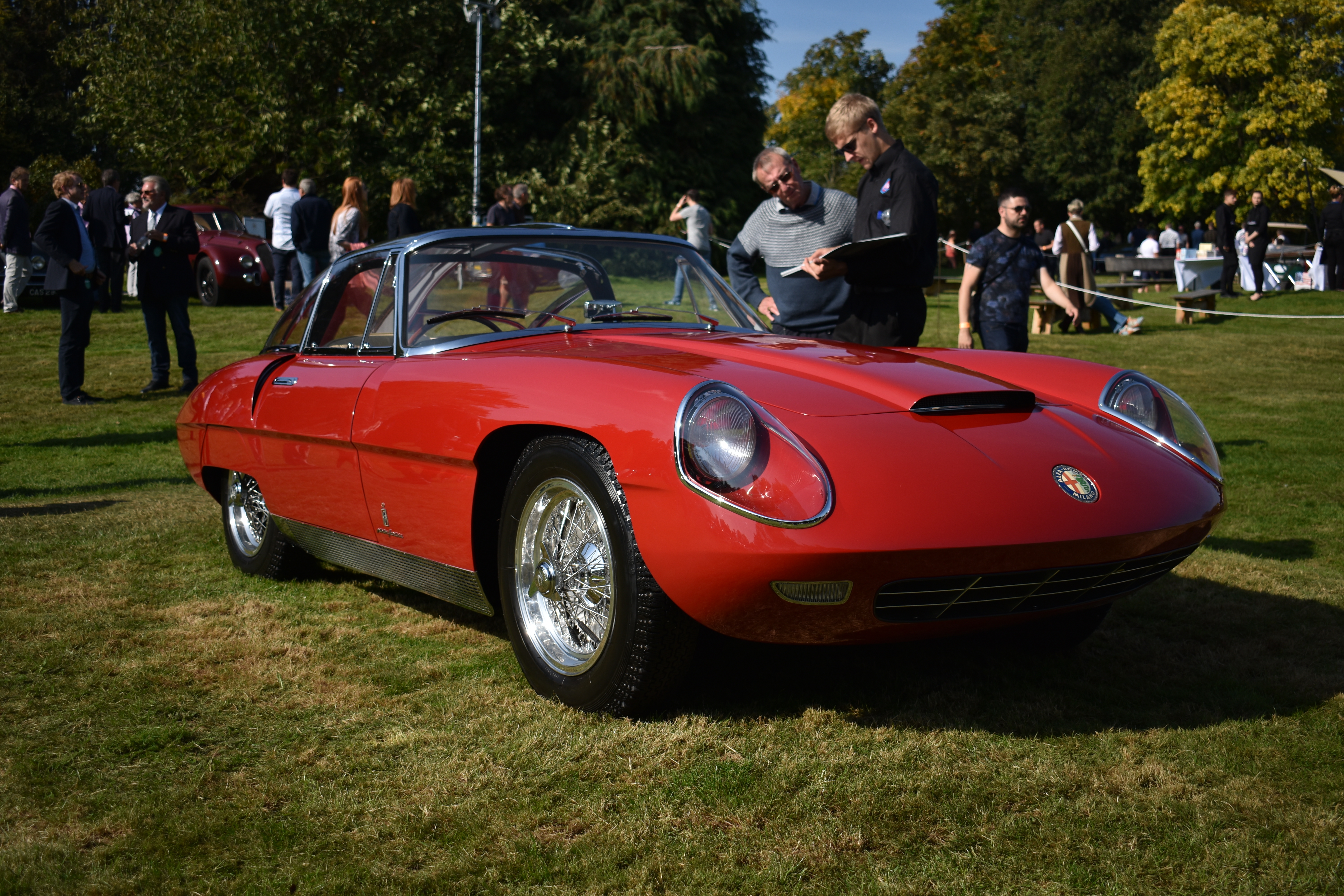 Alfa-Romeo-1960.JPG#asset:2038