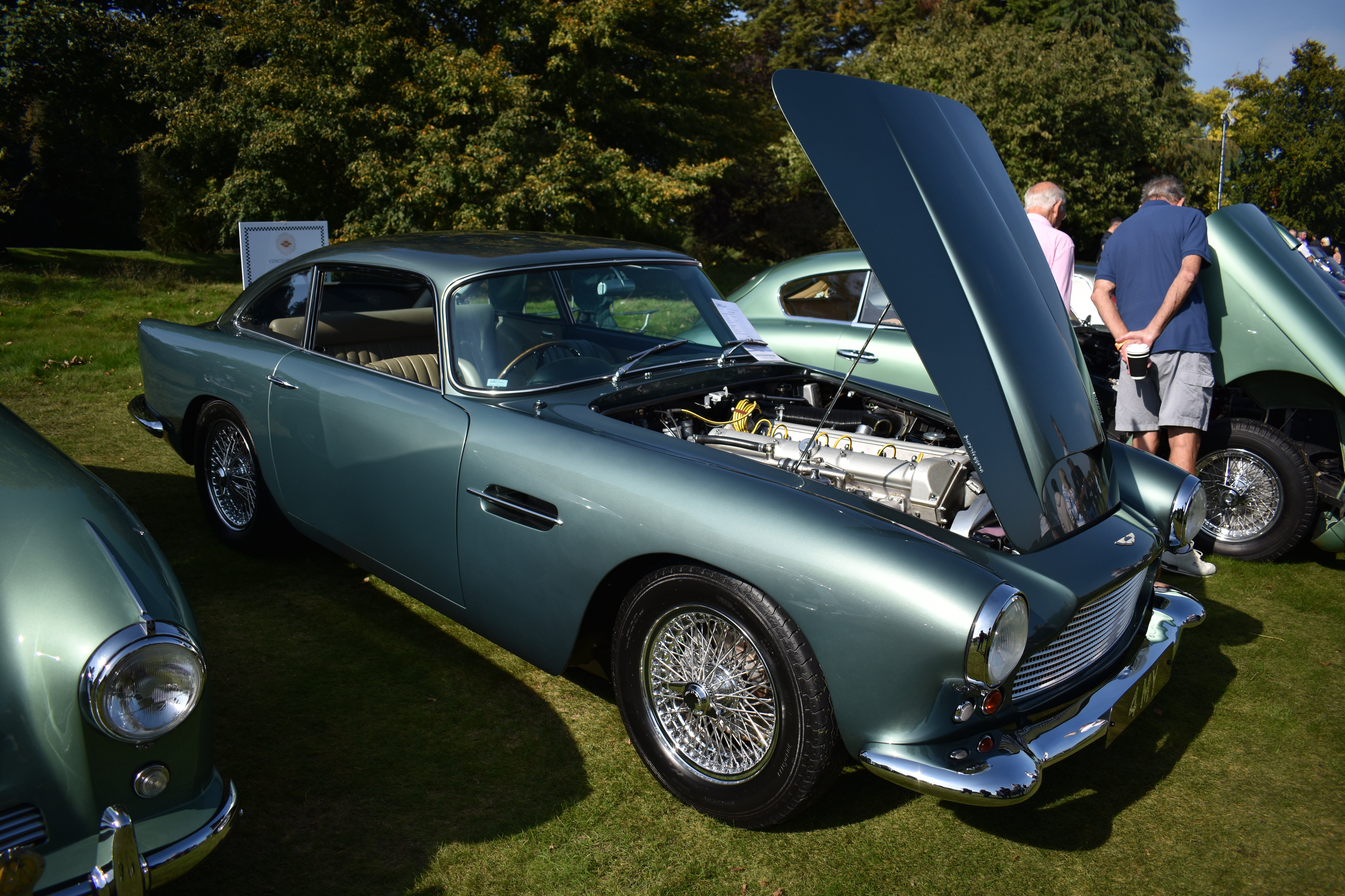 DB4.JPG#asset:2039