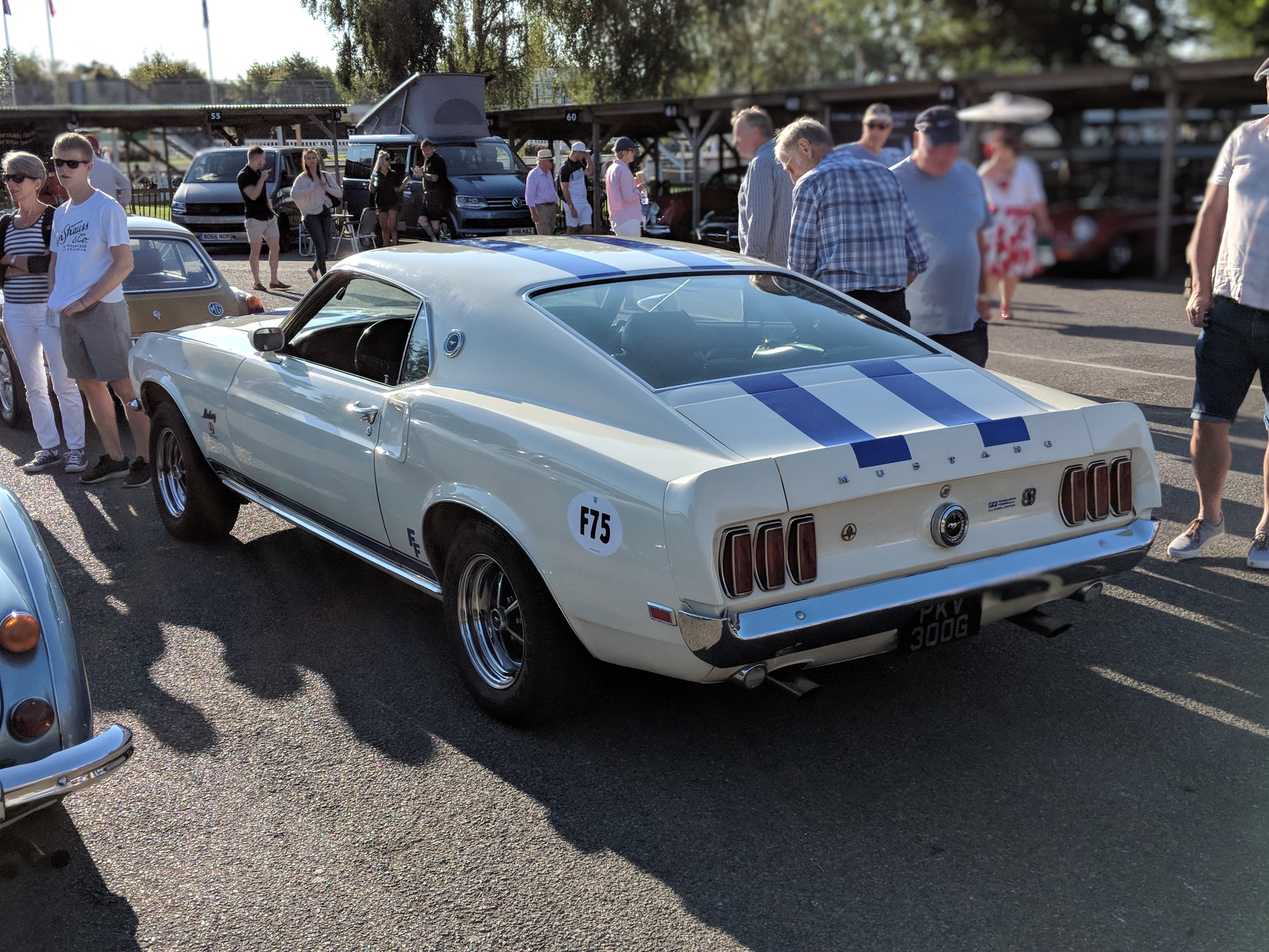 Mustang-rear.jpg#asset:3887