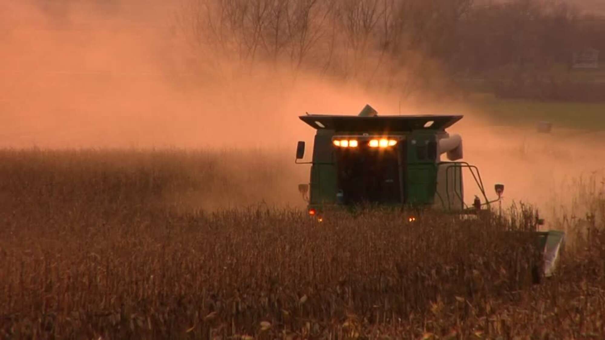 Agri Harvester Machine Harvesting Grain Combine Harvester Ripe Condition  002