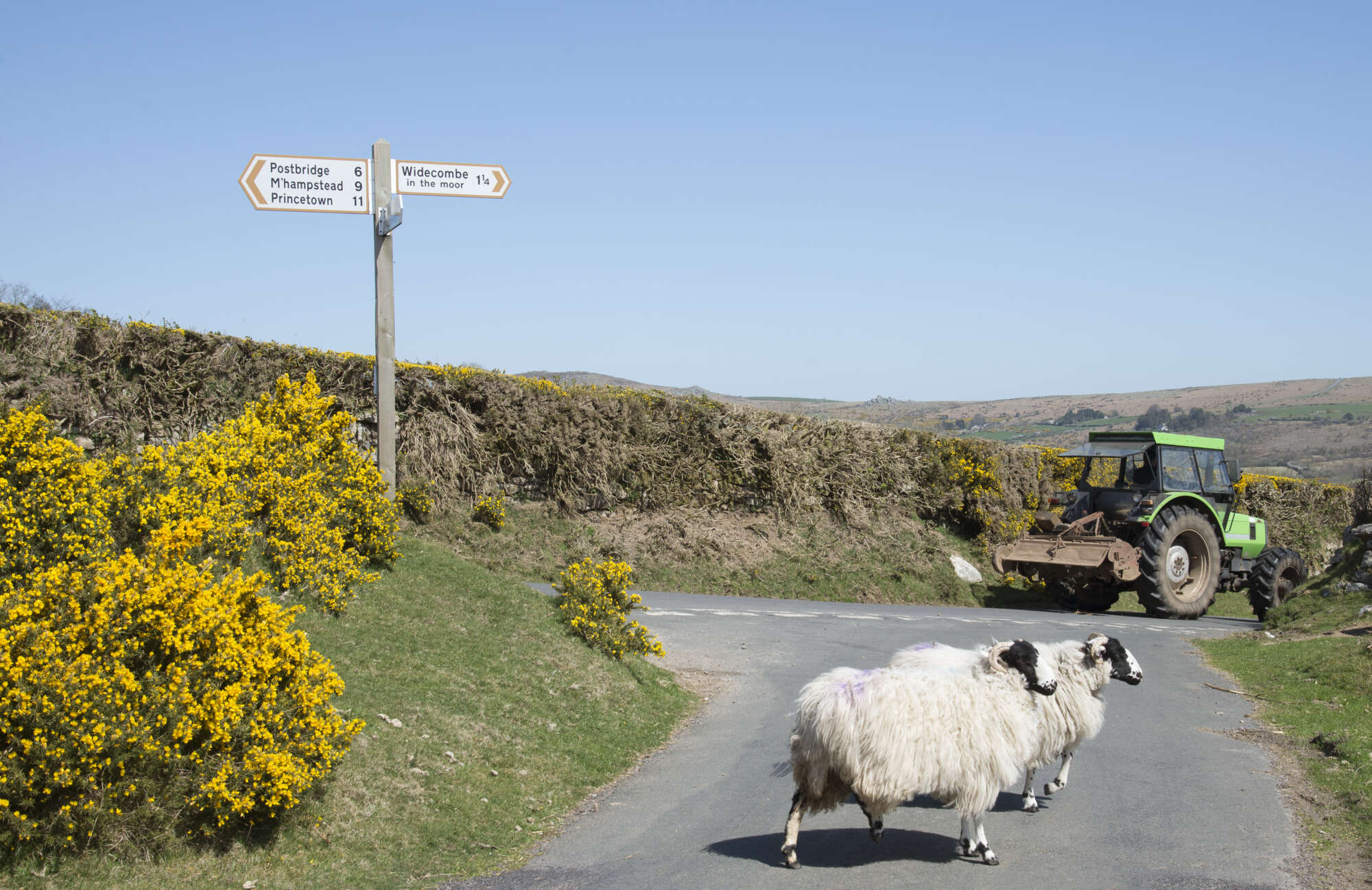 Rural Road Safety