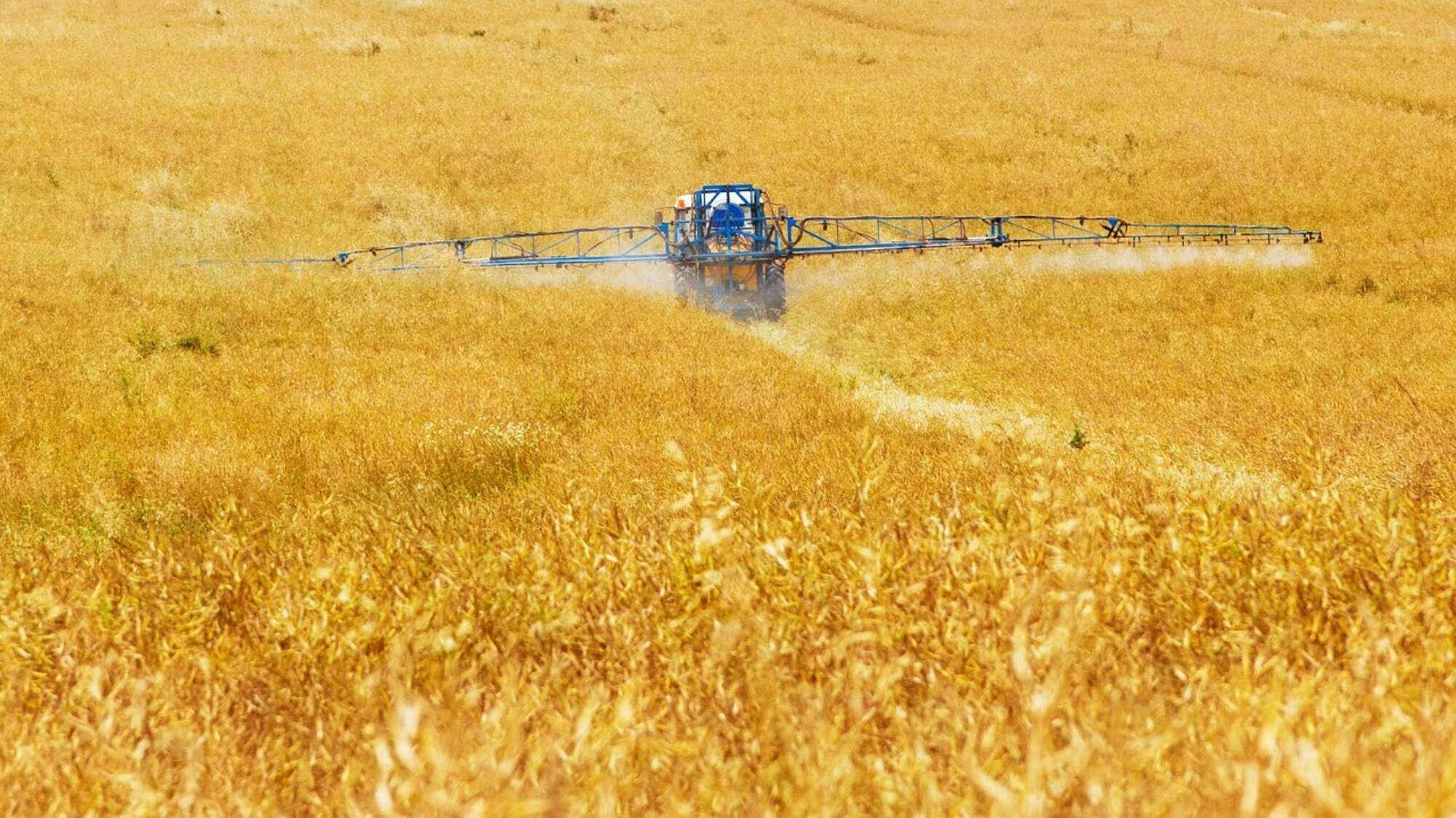 Agriculture 89168 1280