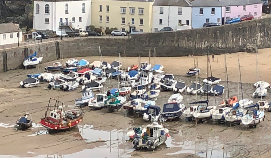 wales-blog-tenby.png#asset:8149:halfWidthImage