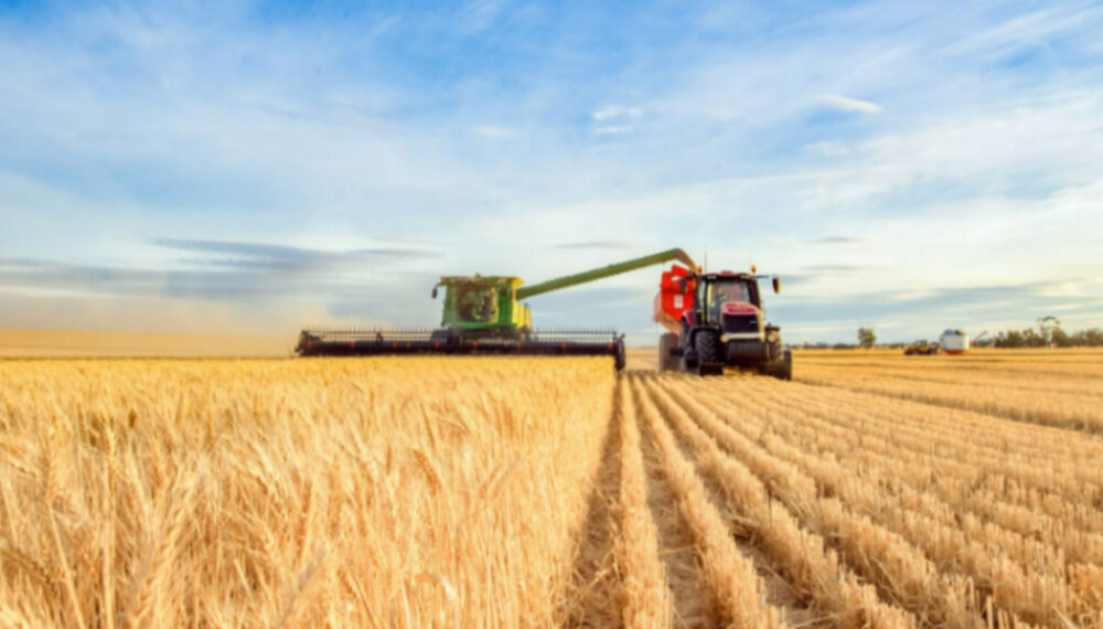 2023 Harvest Heatwave BL