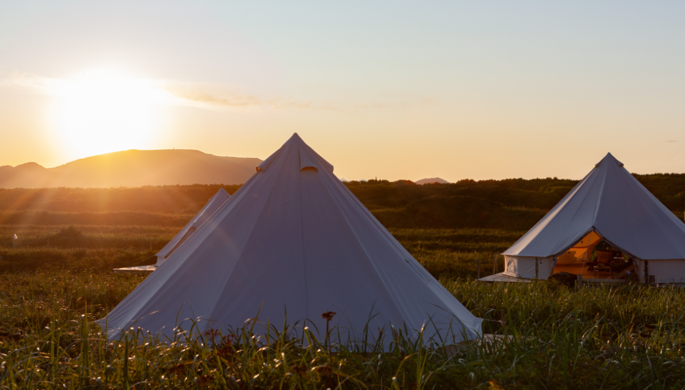 Bloghead Agritourism