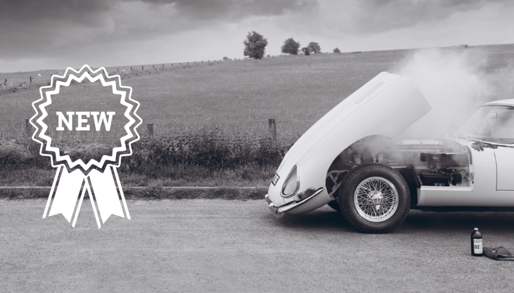 Mbi Linkedin Classic Rosette