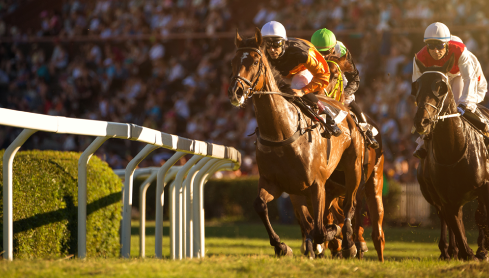 Bloghead Grandnational