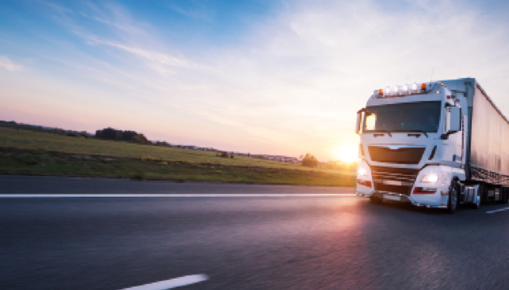 Trans inter blog plain 002